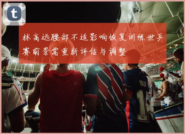 林高远腰部不适影响恢复训练世乒赛前景需重新评估与调整